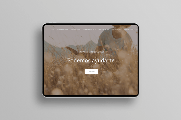 Diseño web Maradam