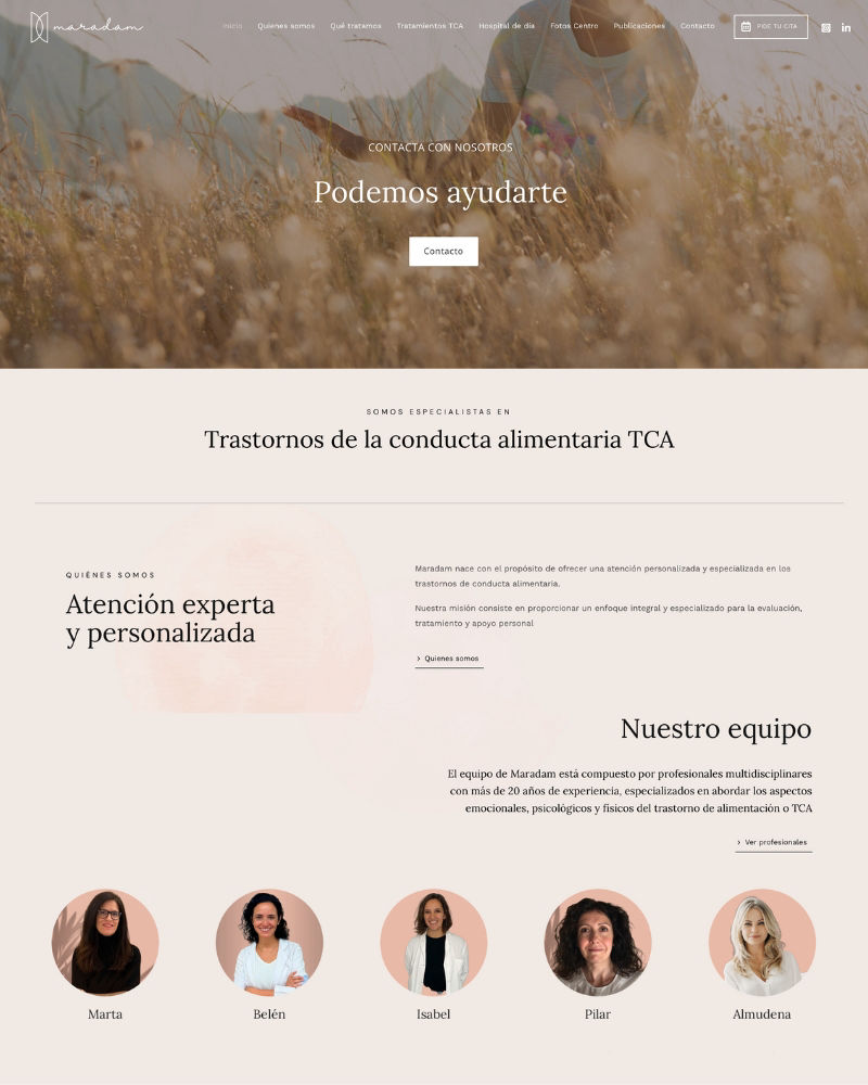Diseño web,sencillo, elegante minimalista y funcional